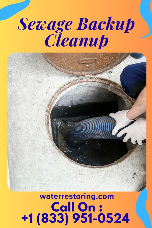 Sewage Backup Cleanup in Sims, IL
