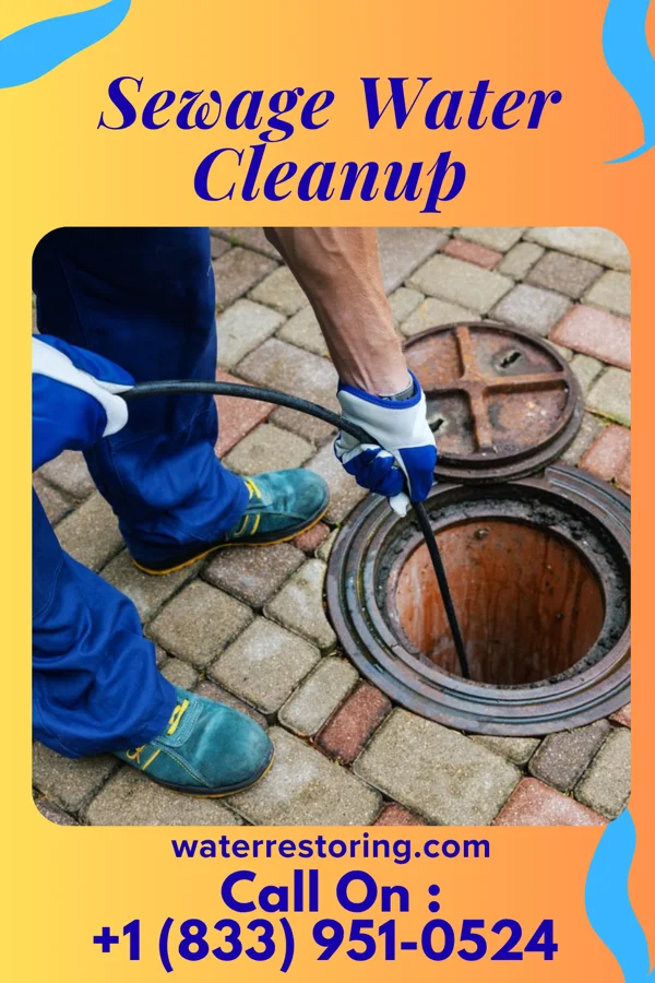 Sewage Water Cleanup in Sims, IL