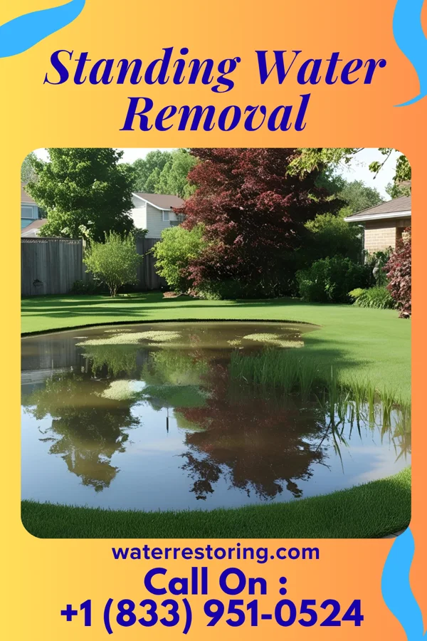 Standing Water Removal in Sims, IL